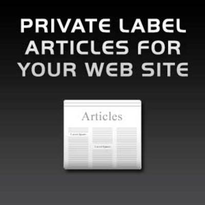 Product picture *NEW  25 ClickBank PLR Articles